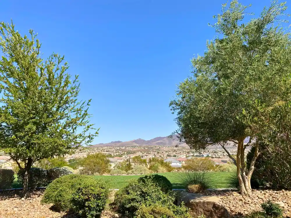 SeeVegasHomes.com